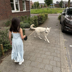 Collection image for: Rollijnen en accessoires