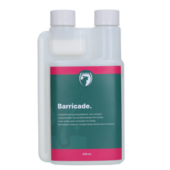 Collection image for: Gezondheid schaap