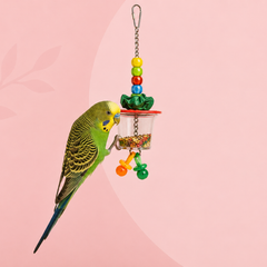 Collection image for: Foerageren vogels