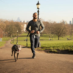 Collection image for: Hardlopen met je hond