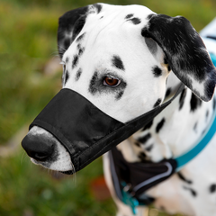 Collection image for: Muilkorven voor honden