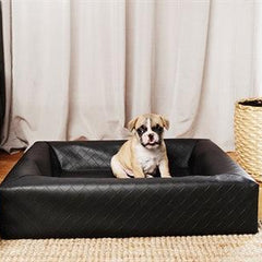 Collection image for: Orthopedische Hondenbedden