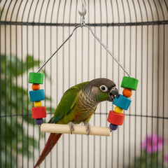 Collection image for: Hangspeelgoed voor vogels