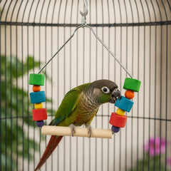 Collection image for: Hangspeelgoed voor vogels