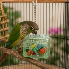 Collection image for: Intelligentiespeelgoed voor vogels