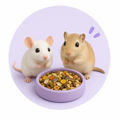 Collection image for: Muizen-, gerbilvoer