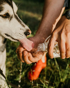 Collection image for: Drinkflessen voor onderweg