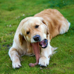 Collection image for: Kauwspeelgoed