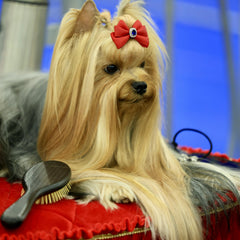 Collection image for: Vacht, klit, huid verzorging