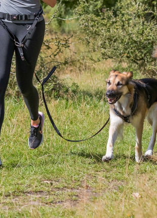 Trixie Bauchgurt mit Leine für mittelgroße und große Hunde