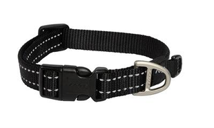 Fidello puppy ophaalpakket – alles wat je nodig hebt voor de dag dat je je puppy ophaalt