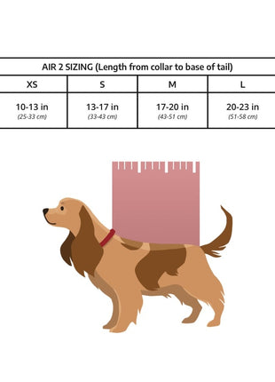 K9 Sport Sack® AIR 2 Hondenrugzak Mint – Maat L – afbeelding 4