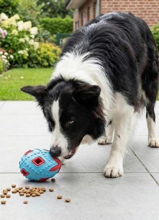 Zolux Zabawka na przysmaki do aportowania jajko 8cm