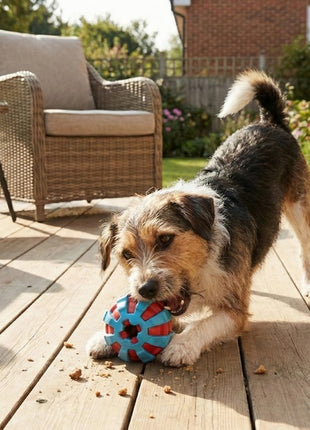 Zolux Zabawka na przysmaki do aportowania piłka 6cm