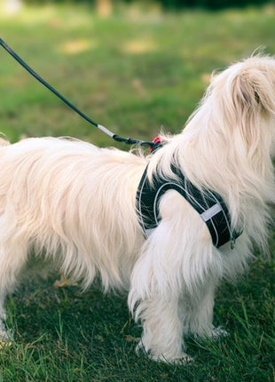 Zolux Szelki oddychające z siatki XS czarne