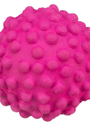 Trixie Piłka z wypustkami 7cm 1szt [3461]