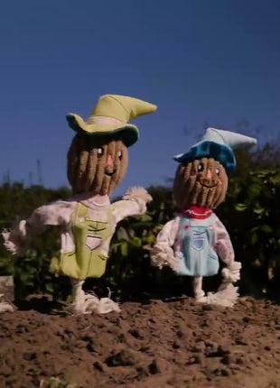Garden Paws Scarecrow Indy Fields