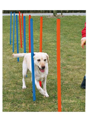 Trixie Agility Slalom