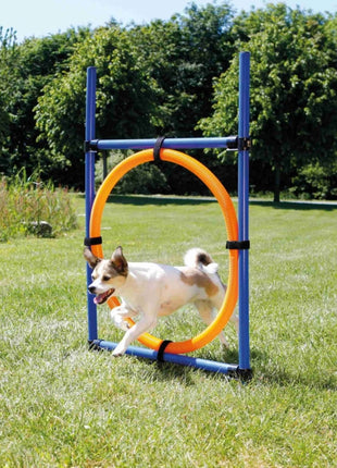 Trixie Agility Ring