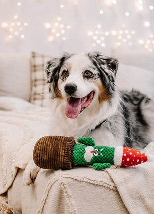 Dingo Zabawka dla psa - Kaktus Carlos 34cm