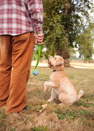 Chuckit The Whistler