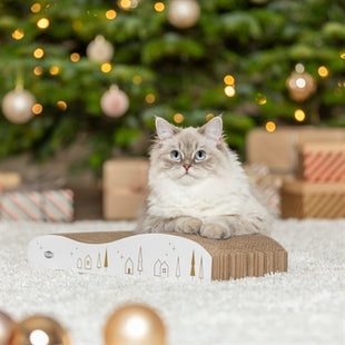 Trixie Krabplank Karton