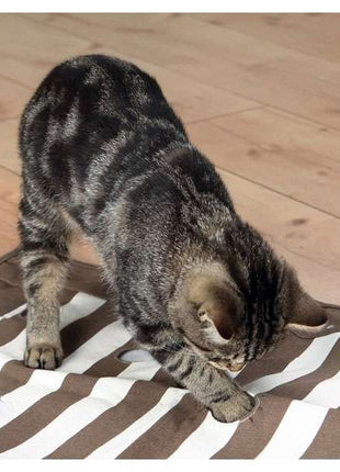 Trixie Cat Activity Pföteldecke