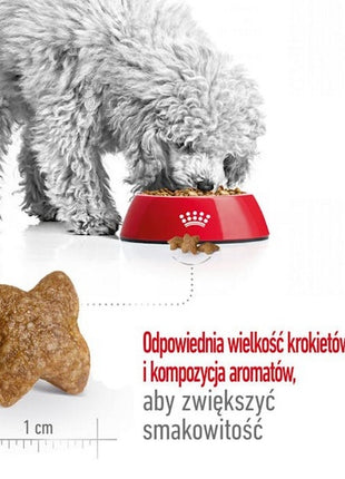 Royal Canin Mini Adult karma sucha dla psów dorosłych, ras małych 0,8kg