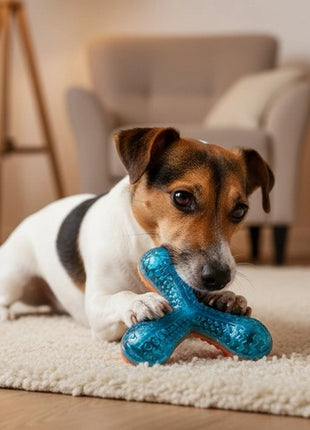 Zolux Zabawka gryzak bumerang Tao 13,6cm