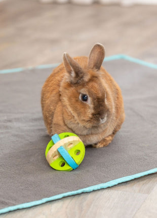 Trixie Spiel- und Snackball aus Holz