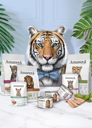 Amanova Cat Kitten Exquisite Chicken - kurczak 4kg