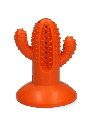 AFP Dental Chews - Dental Cactus M Oranje