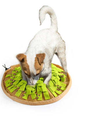 AFP Dig It - Foldable Treat Mat