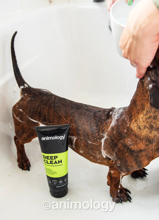 Animology Deep Clean Intensive Dog Shampoo 250 ml