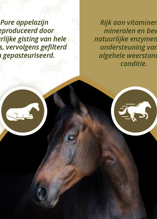 Excellent Horse Apple Vinegar 1 l