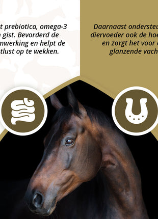 Excellent Horse Prebiotics 2,5 kg