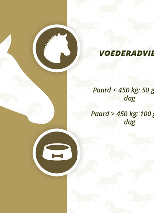 Excellent Horse Prebiotics 2,5 kg