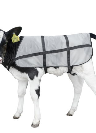 Bodyguard Kalf Zomerdekje
