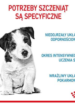 Royal Canin Mini Puppy karma sucha dla szczeniąt, od 2 do 10 miesiąca życia, ras małych 2kg