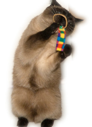 Cat Dancer Ring Tail Chasers (2-Pack)