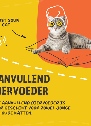 Excellent Pets L-Lysine