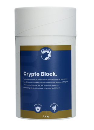 Excellent Crypto Block