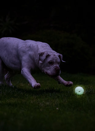 Chuckit! Air Glow Fetch Ball