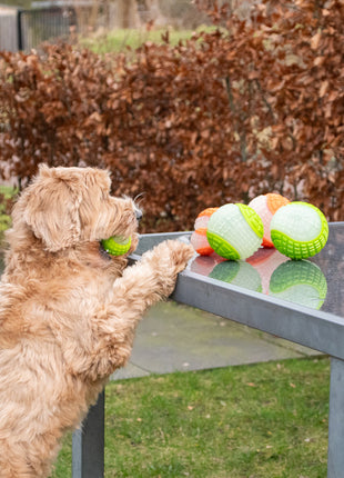 Dog Comets Glow In The Dark Moon Bal Oranje