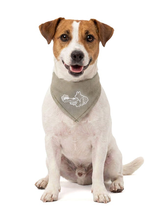 Coolpets Cooling Bandana Beige