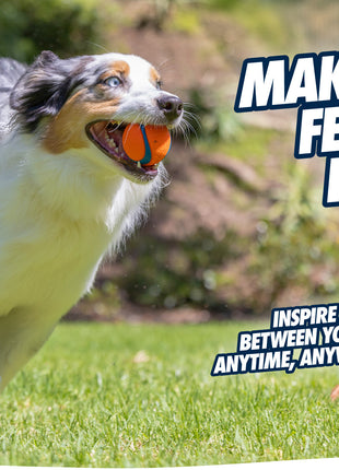 Chuckit! Ultra Squeaker Ball S (2-pack)