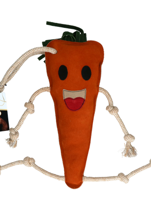 Excellent Horse Foodie Friends Carrot