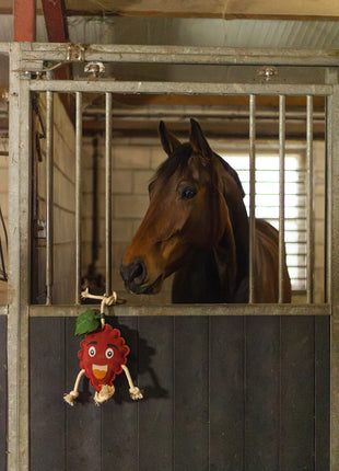 Excellent Horse Foodie Friends Raspberry