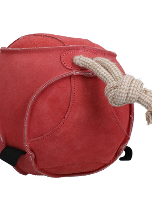 Excellent Horse Fun Play Ball Suede Roze