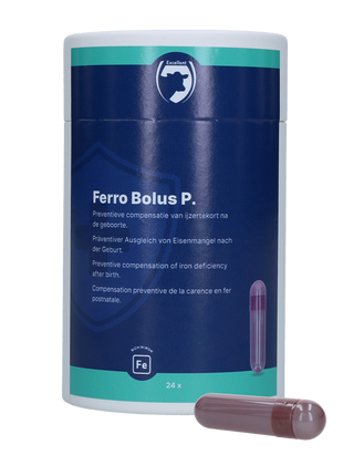 Excellent Ferro Bolus P 24 x 8,5 g